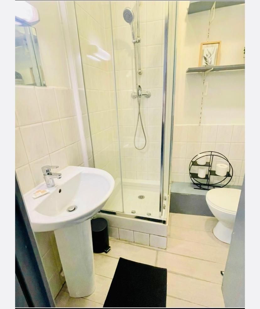 Studio Entier 1 Piece Et Salle De Bain Lille Bagian luar foto